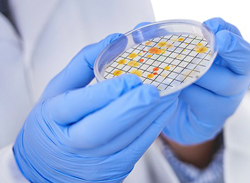 ライフサイエンス