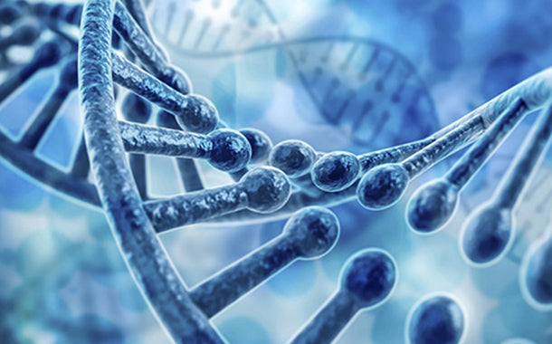 分子生物学研究