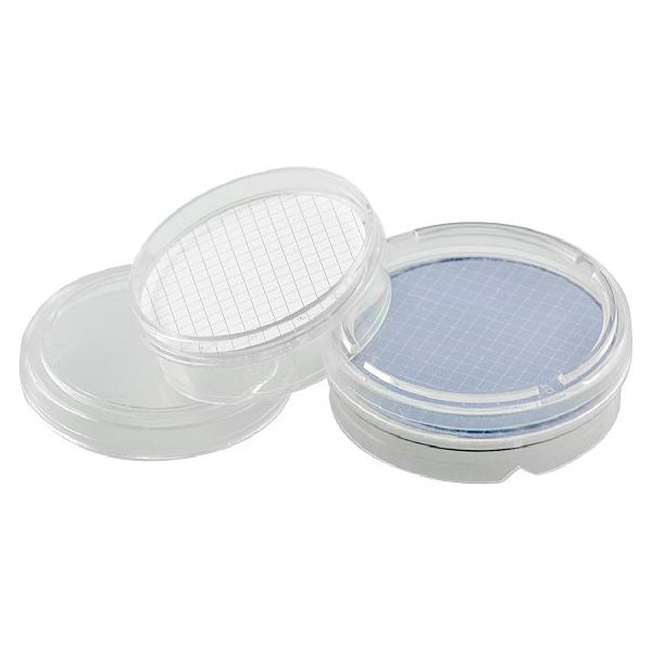 微生物モニター