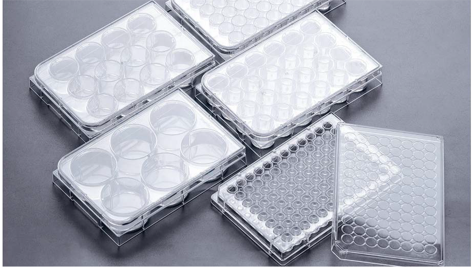 細胞培養プレート