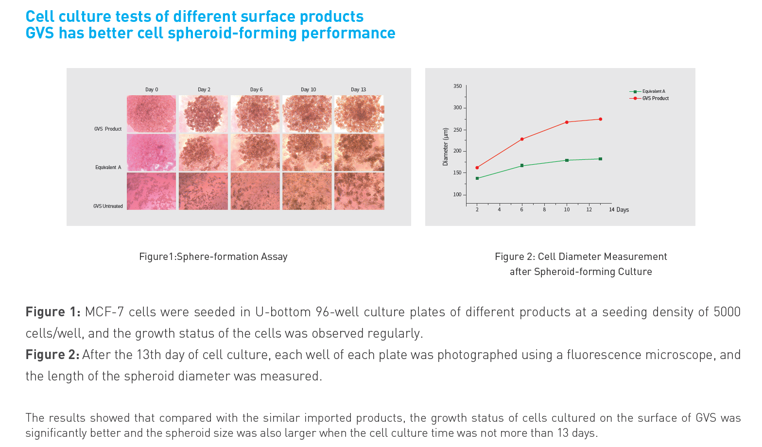 超低接着細胞培養プレート・フラスコ