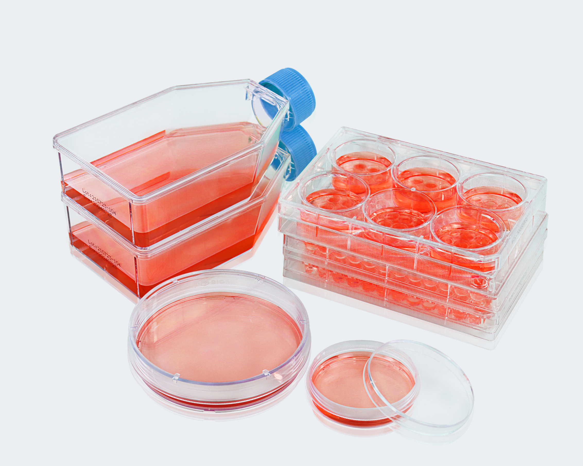 超低接着細胞培養プレート・フラスコ