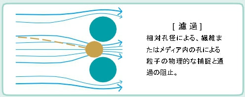 人工鼻・除菌フィルタ