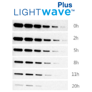 Lightwave ECL基質